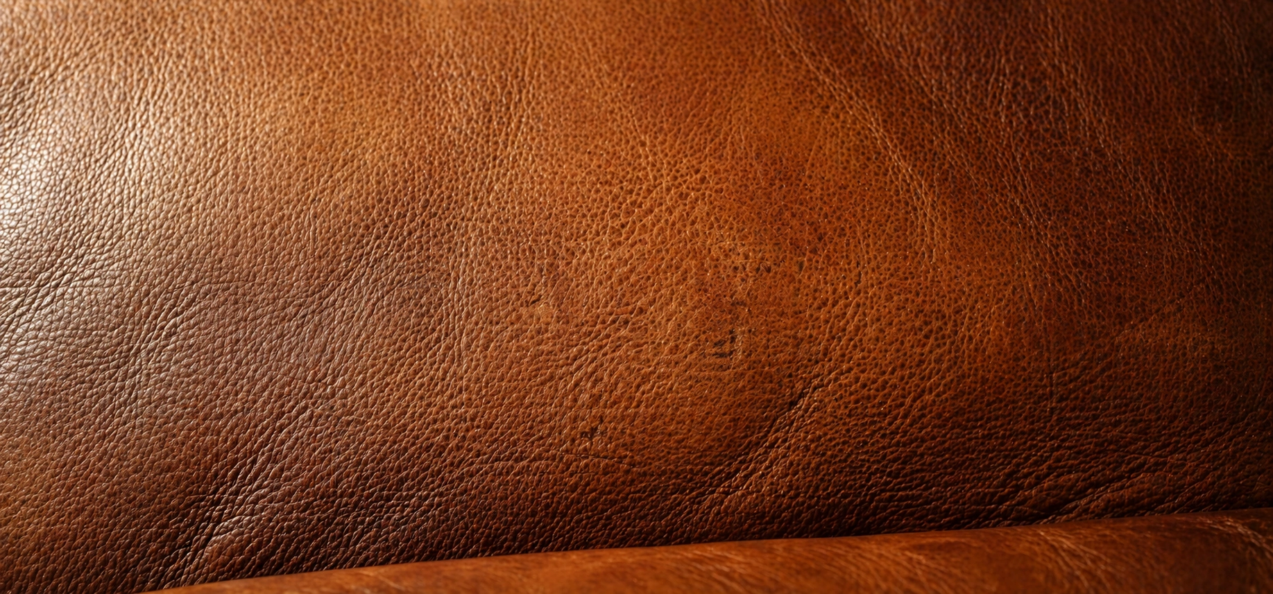 Close-up of full-grain leather sofa showing natural grain patterns, pores, and rich patina development
