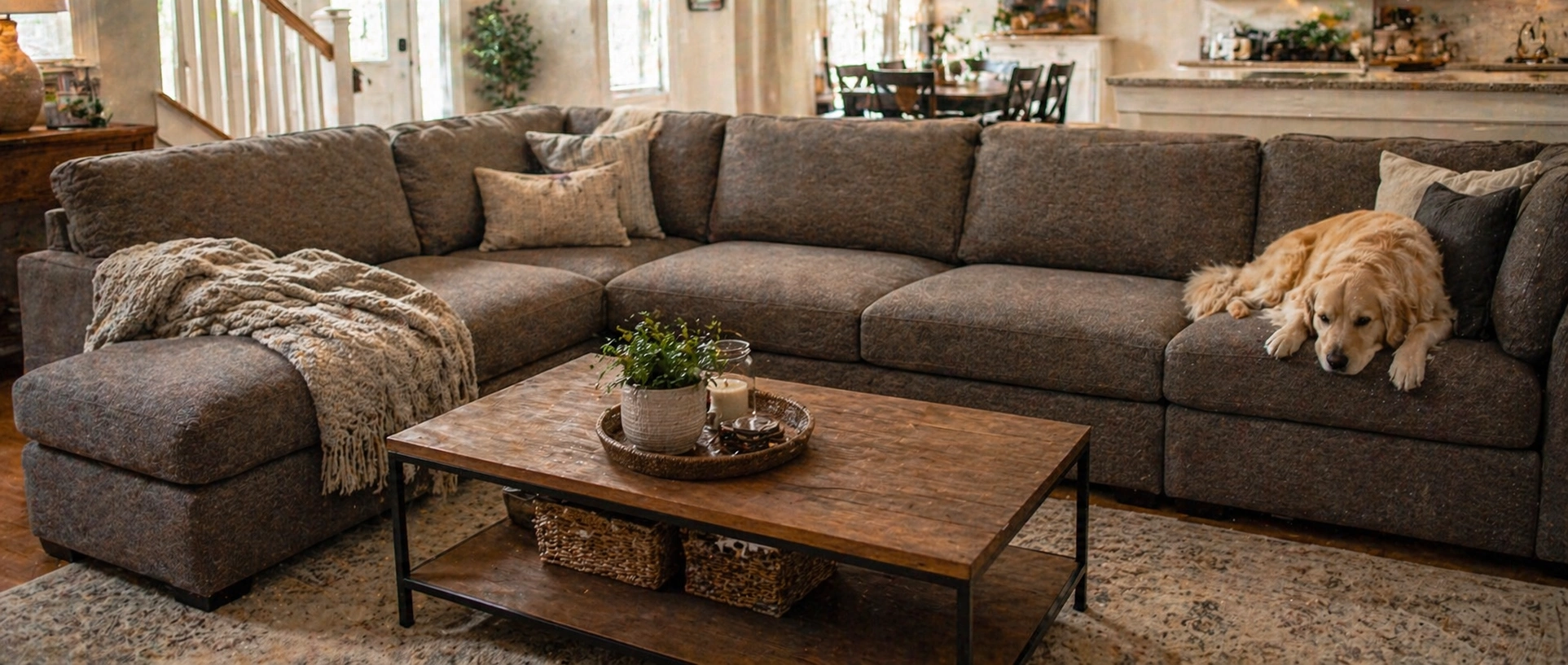 Sectional sofa in a pet-friendly living room with dogs